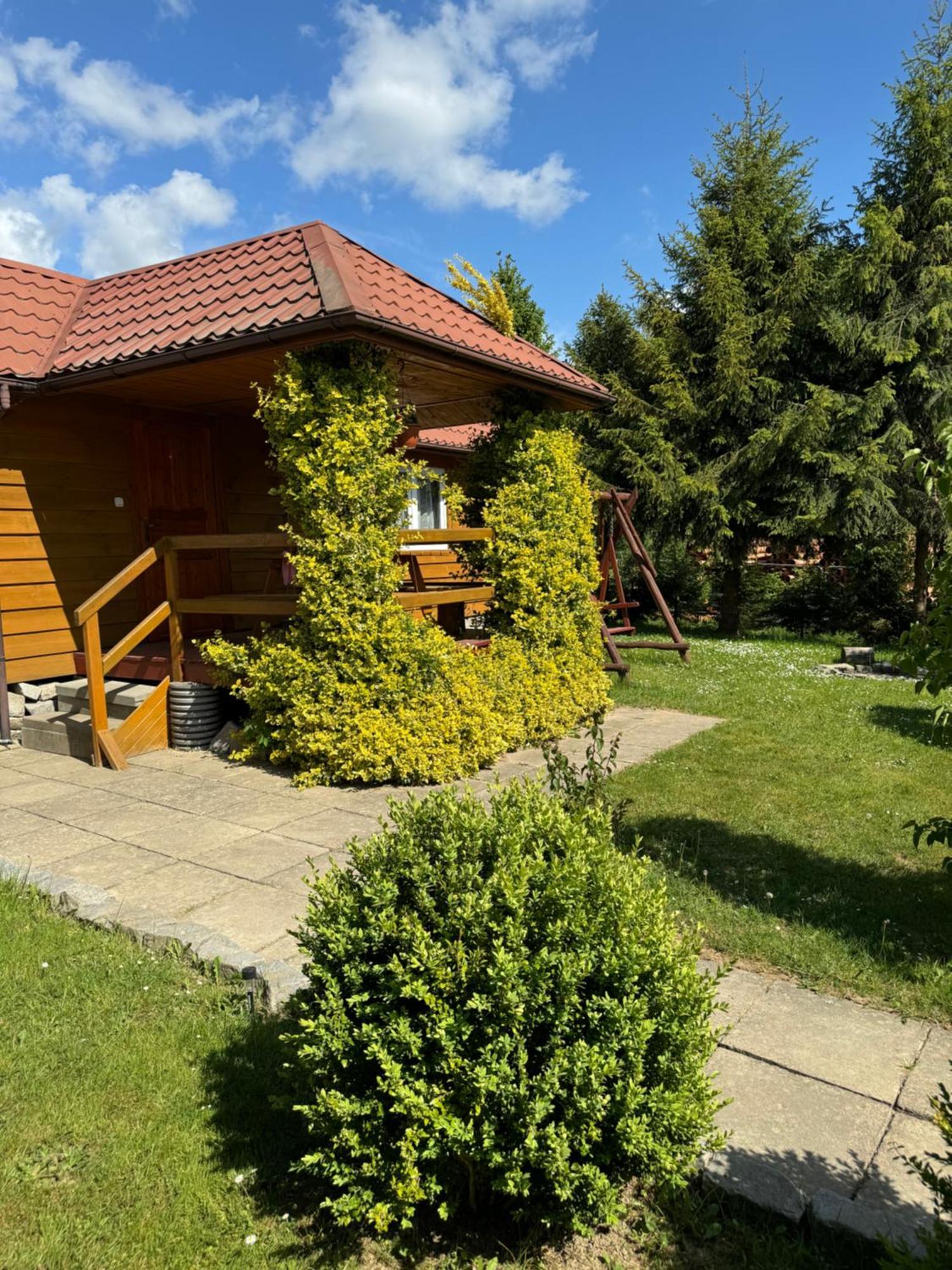 Domki Zewa Orelec Exteriör bild