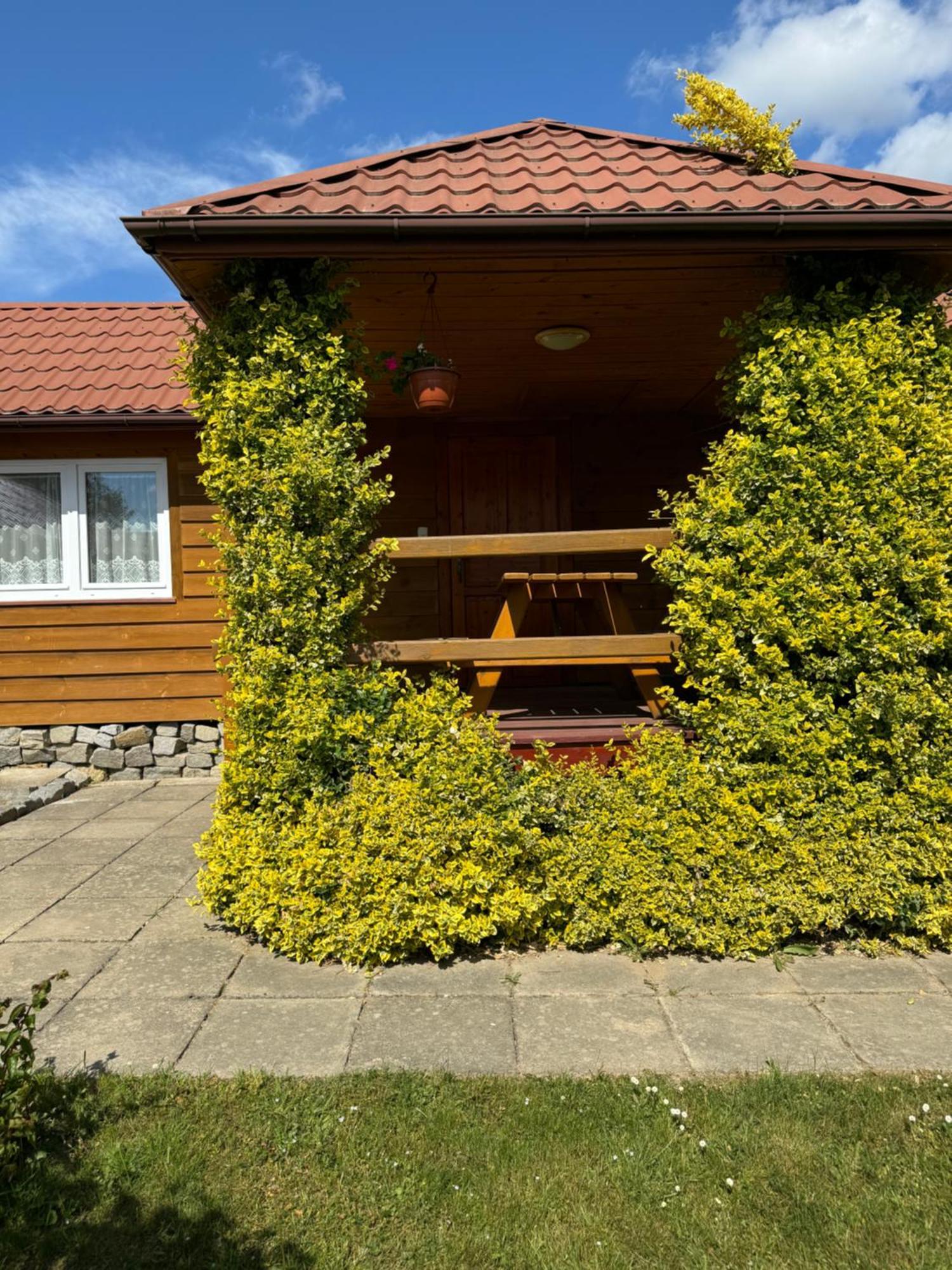 Domki Zewa Orelec Exteriör bild